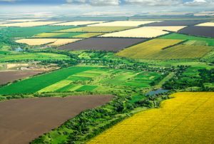 agricultural_fields_ukraine