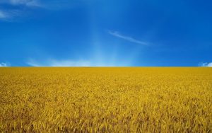 Ukraine, Breadbasket of Europe